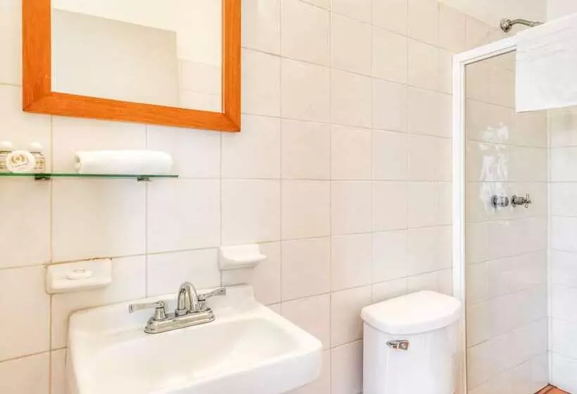 Отель Arana Tonalá