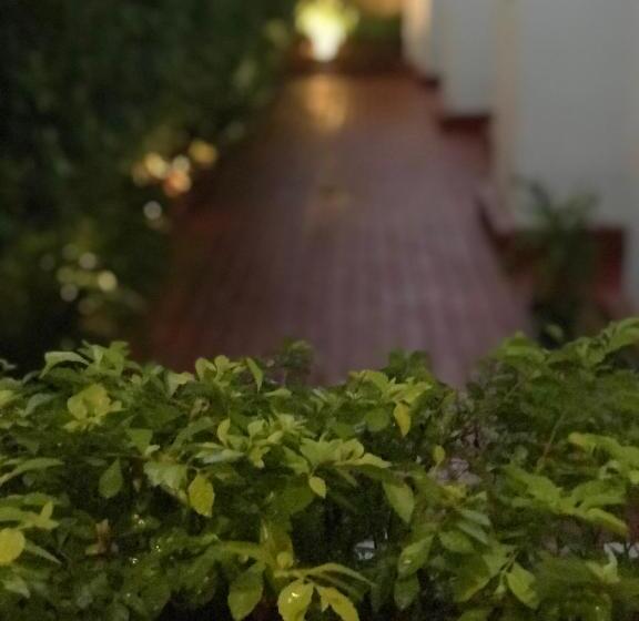 בית מלון כפרי Emperador Centro Guadalajara Y Remodelado