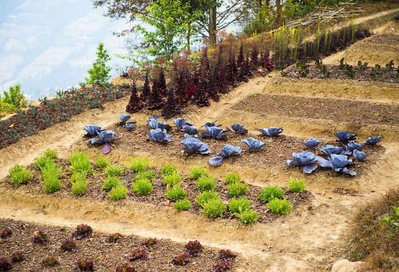 هتل The Dwarika S Resort