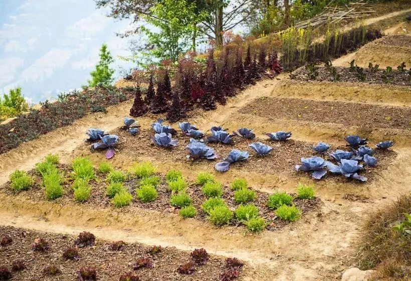 هتل The Dwarika S Resort