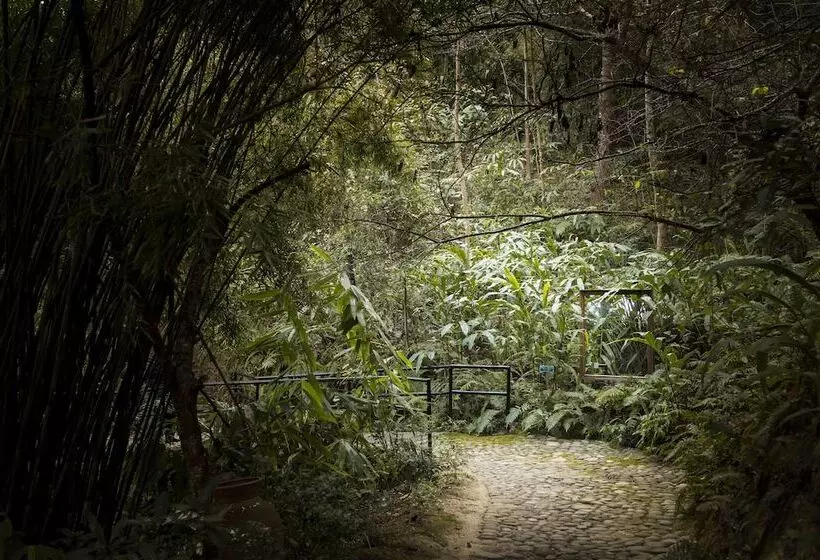 هتل The Dwarika S Resort