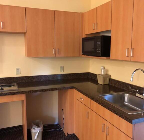 فندق على الطريق Budget Inn Williamsport