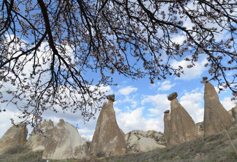 پانسیون Grand Cave Suites