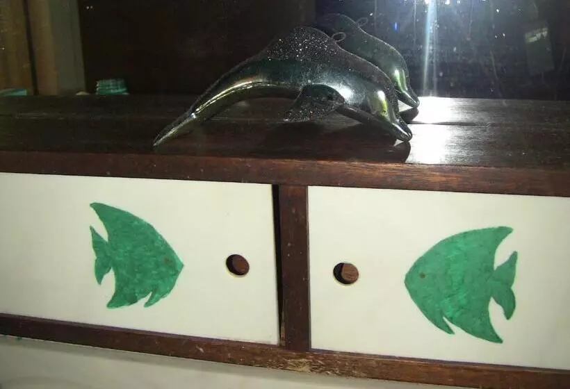 Pension Kona Hawaii Guest House A Unique Hawaii Experience