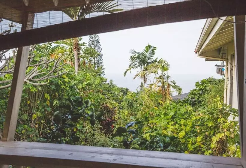 Pension Kona Hawaii Guest House A Unique Hawaii Experience