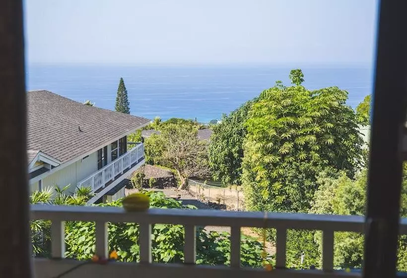 Pension Kona Hawaii Guest House A Unique Hawaii Experience