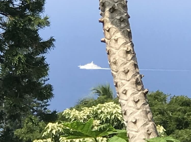 بنسيون Kona Hawaii Guest House A Unique Hawaii Experience