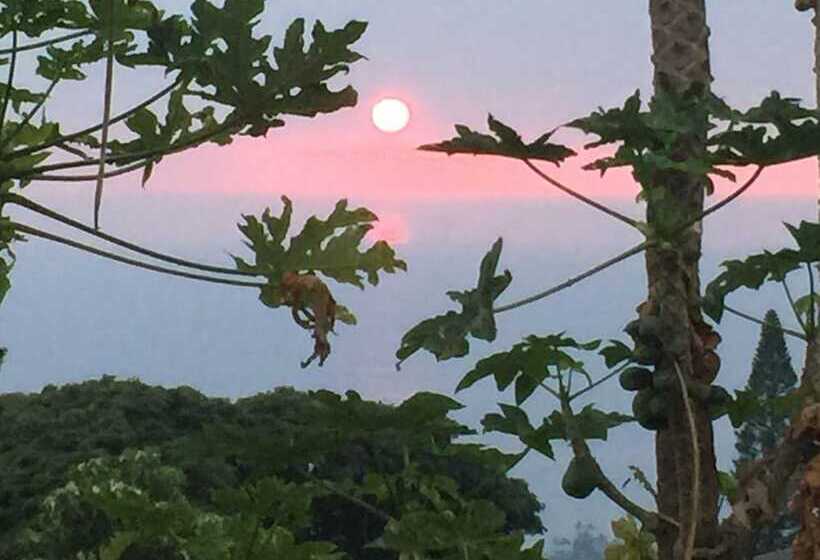 بنسيون Kona Hawaii Guest House A Unique Hawaii Experience