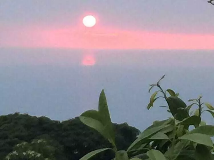 Pension Kona Hawaii Guest House A Unique Hawaii Experience