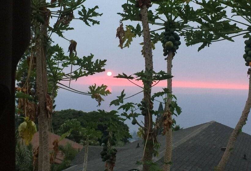 بنسيون Kona Hawaii Guest House A Unique Hawaii Experience