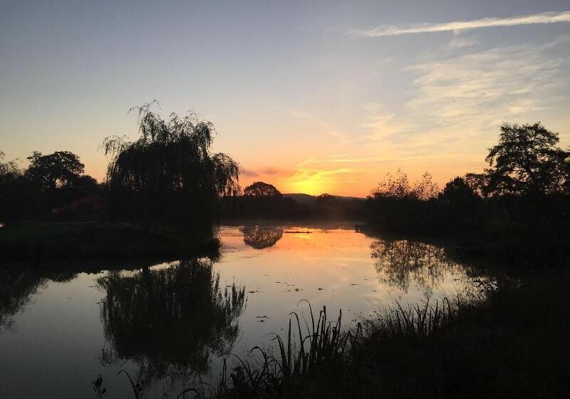 بنسيون The Lighthouse