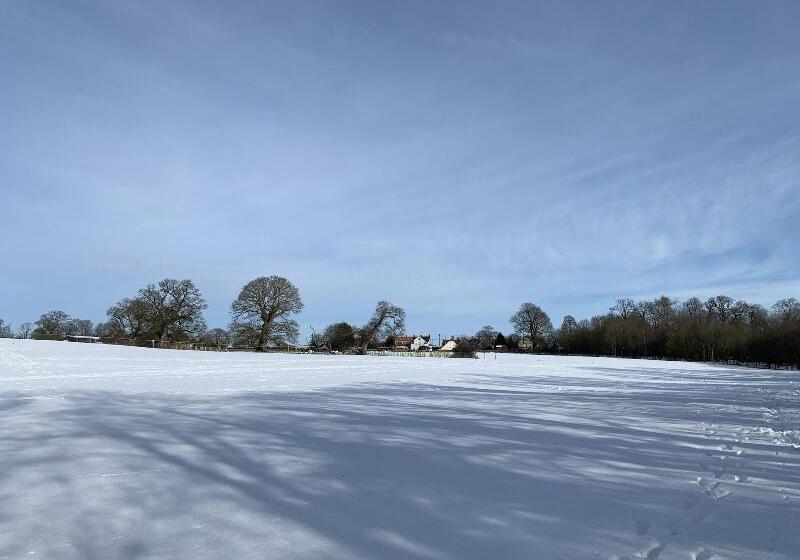 بنسيون The Lighthouse