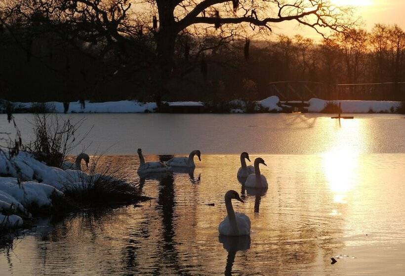 بنسيون The Lighthouse