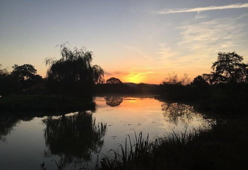 بنسيون The Lighthouse