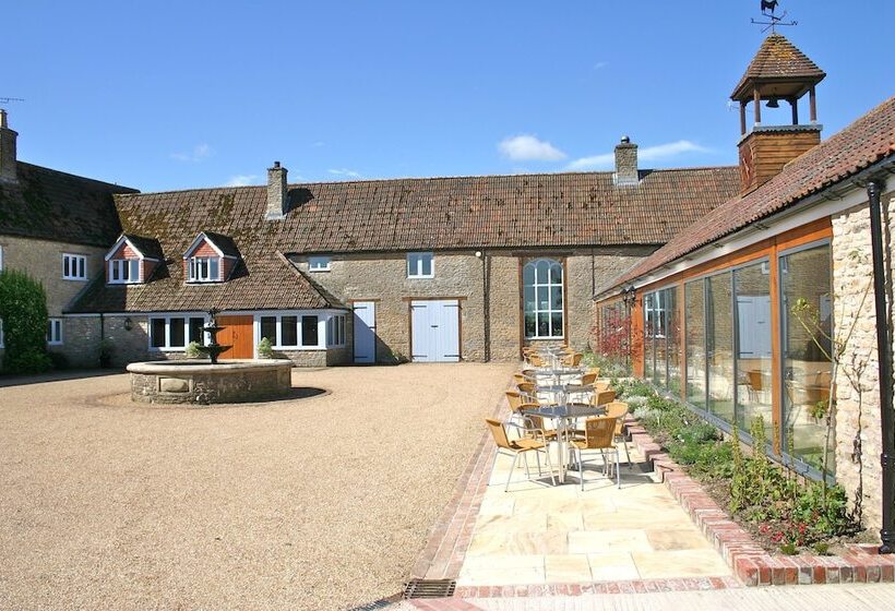 بنسيون The Lighthouse