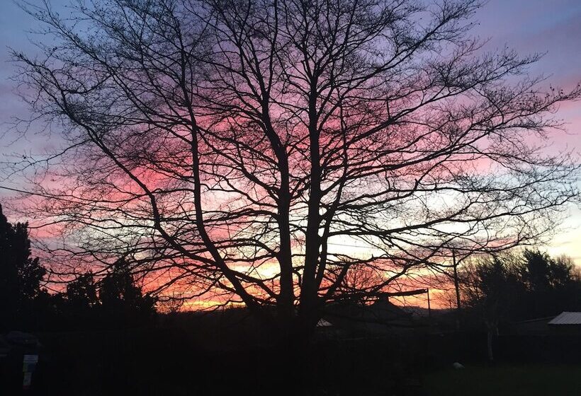 بنسيون The Lighthouse