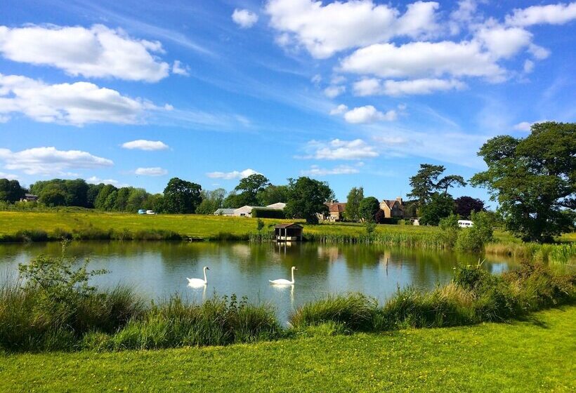 بنسيون The Lighthouse