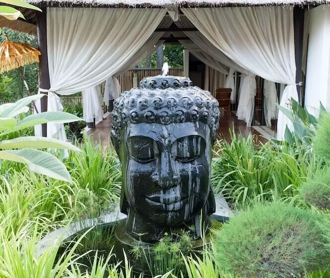 渡假胜地 Villa Flow