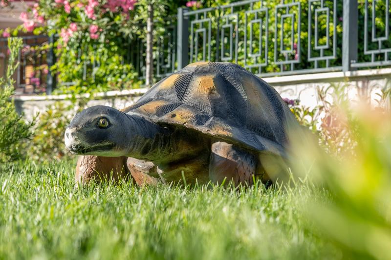 ホテル Allia Thermal Health & Spa Kazdaglari