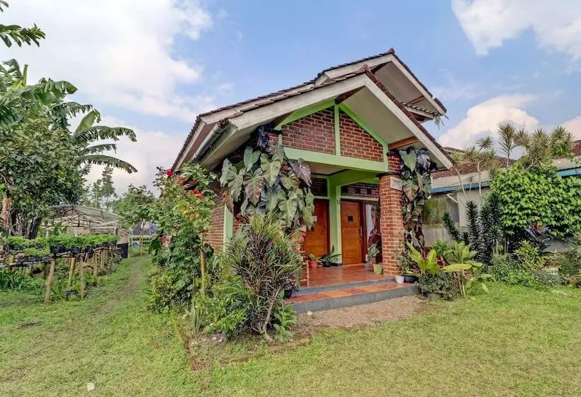ホテル Oyo Homes 90849 Cibeunying Homestay Cibodas Maribaya
