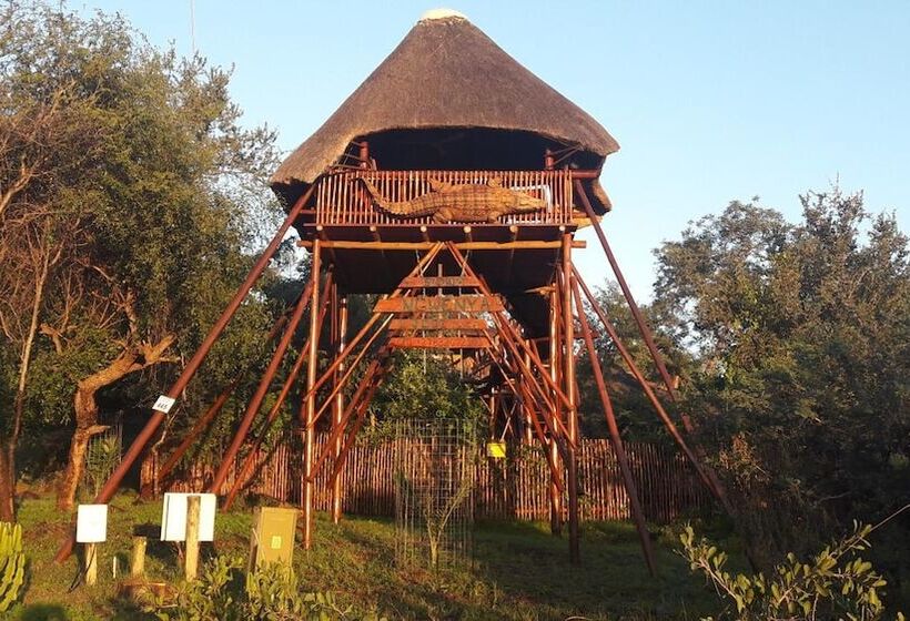 בית מלון כפרי Bona Ngwenya Lodge