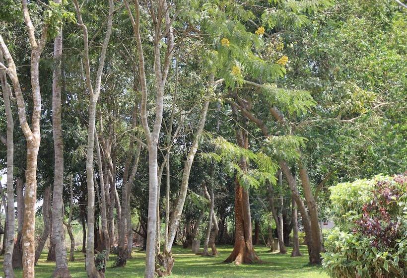 هتل Forest Park Resort