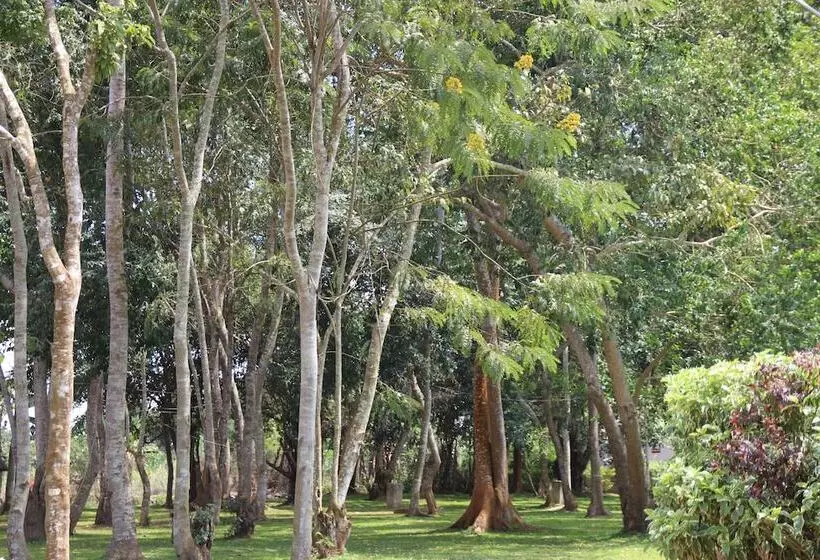 هتل Forest Park Resort
