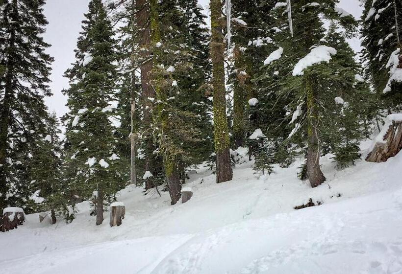 هتل Mountain Flair