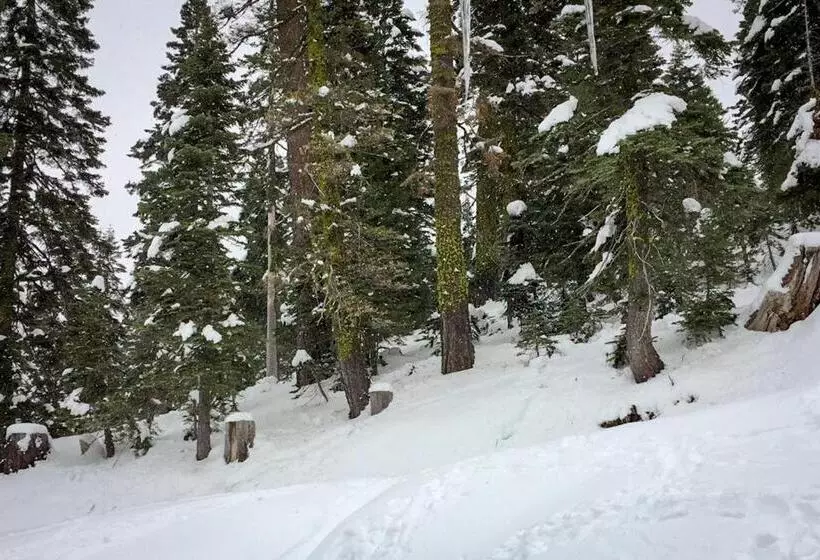 ホテル Mountain Flair