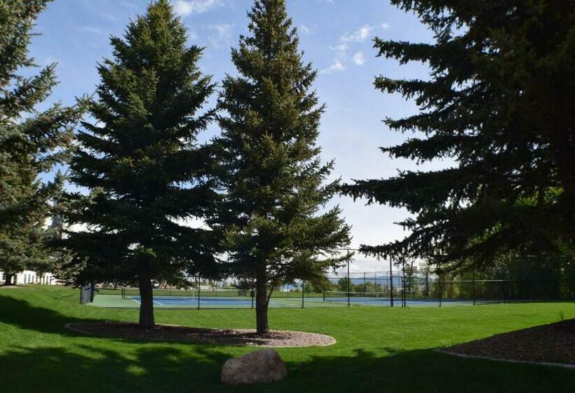 ホテル Tennis Court Condo