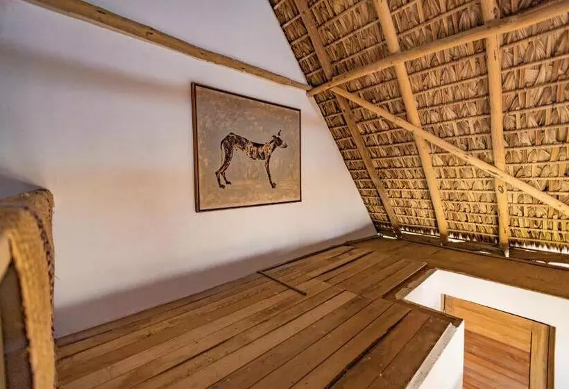 Hotelli Casa Torito Mermejita