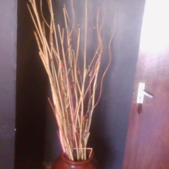 هتل Rose Wood Lounge