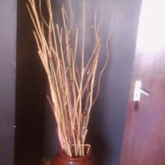 هتل Rose Wood Lounge