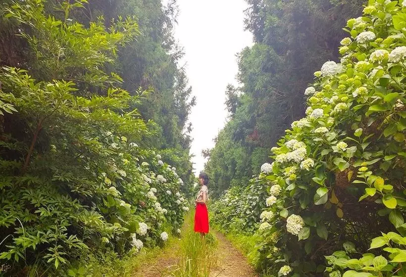 ホテル Seogwipo Labong Guest House