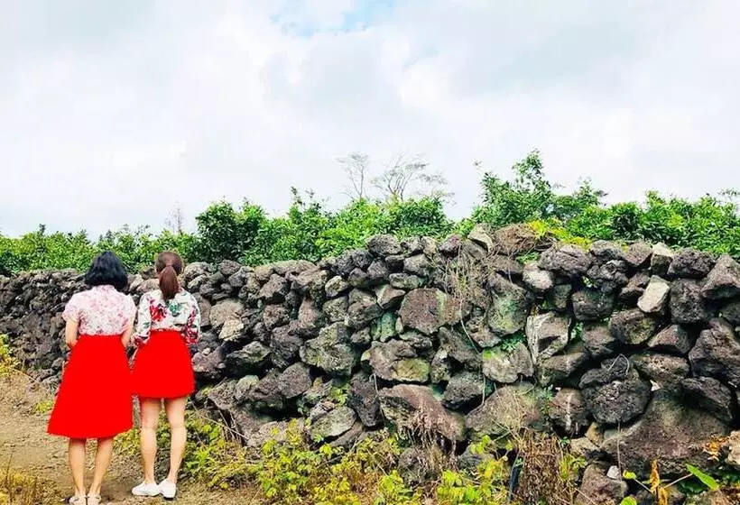 ホテル Seogwipo Labong Guest House