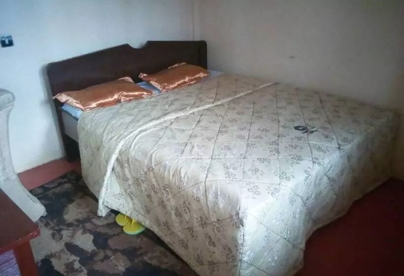 هتل Silent Lodge