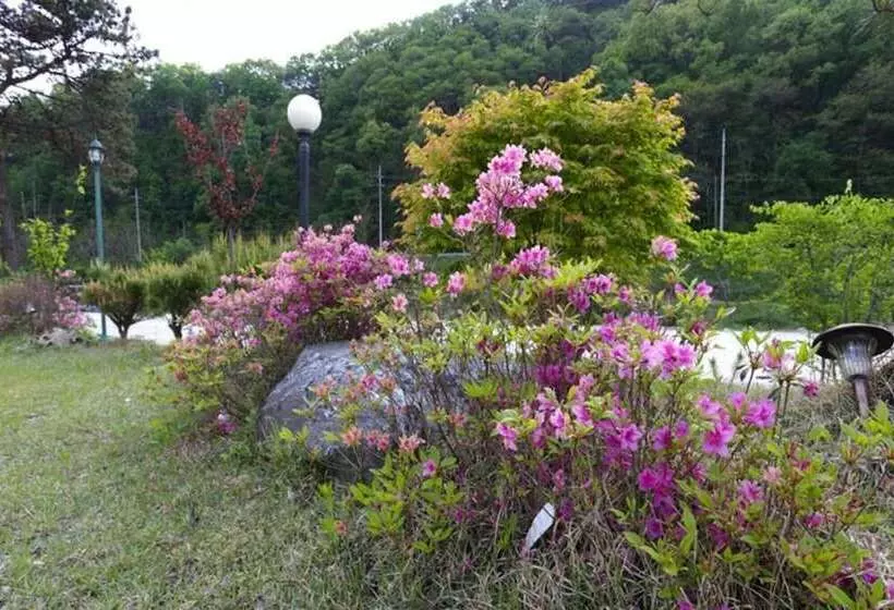 Hotelli Yangpyeong Oettonjip Pension