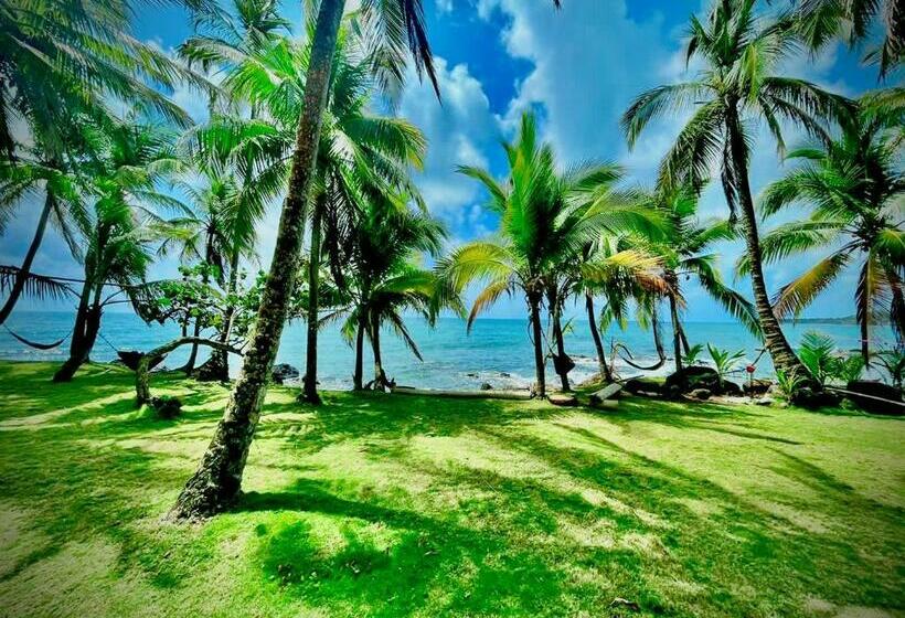 پانسیون Coral View Hostel