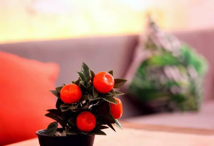 Viya Boutique Otel Alacati