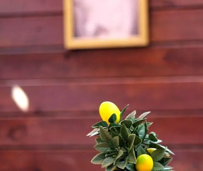 Viya Boutique Otel Alacati