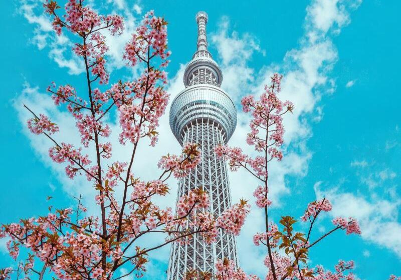 ホテル Grand Bach Tokyo Ginza