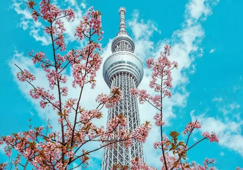 ホテル Grand Bach Tokyo Ginza