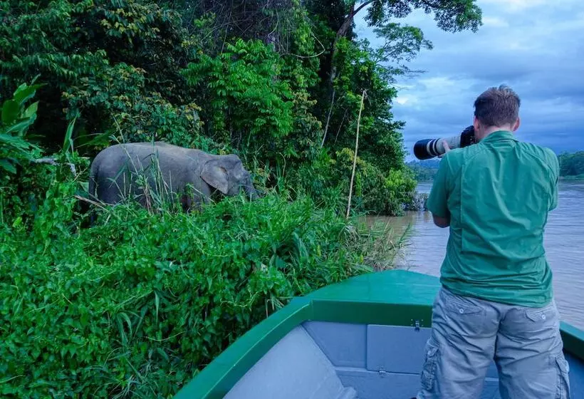 Hotelli Kinabatangan Wildlife Lodge   Hostel