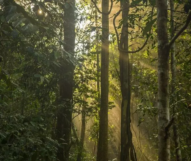 Hotelli Kinabatangan Wildlife Lodge   Hostel