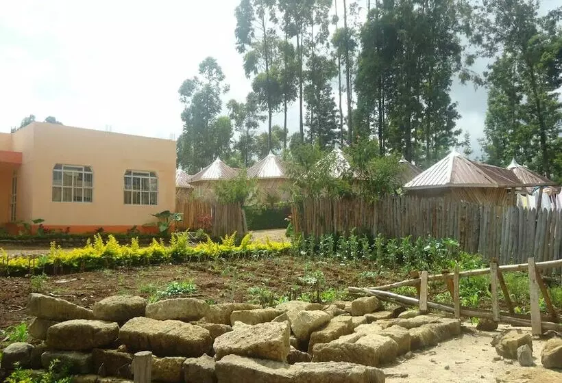 هتل River Bank