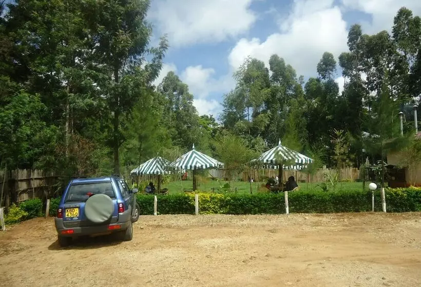 هتل River Bank