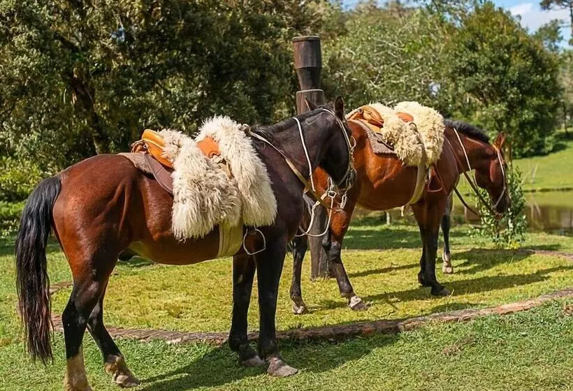 Hotelli Aires De Patagônia Pousada