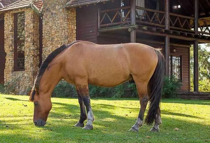 Hotelli Aires De Patagônia Pousada