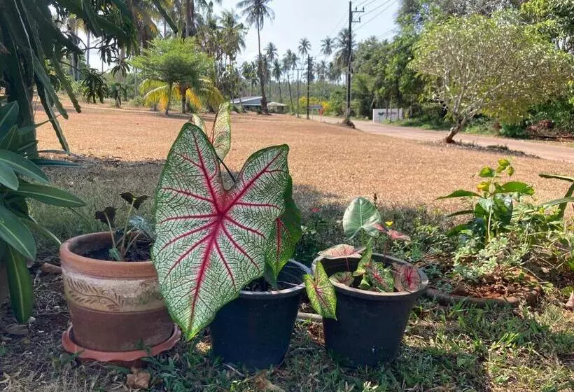 Hotelli Koh Mak Homestay