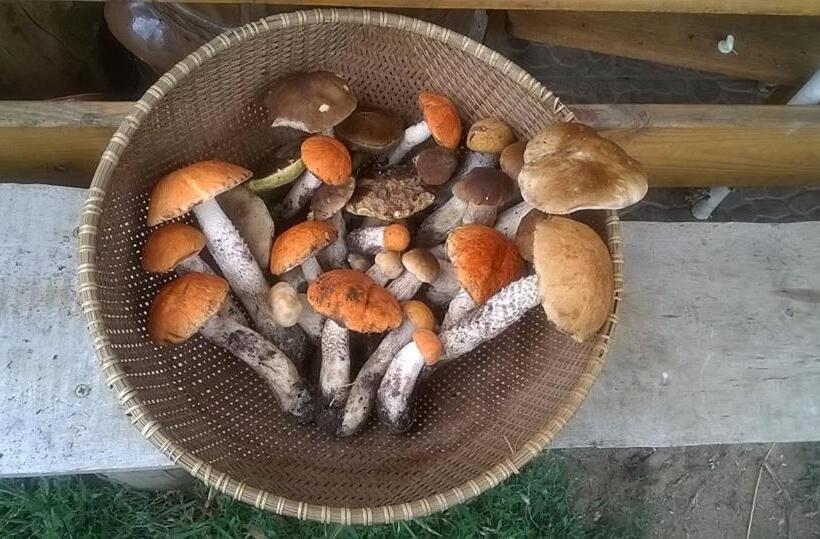 בית מלון כפרי Agroturystyka Ruta Nad Zalewem Siemianówka